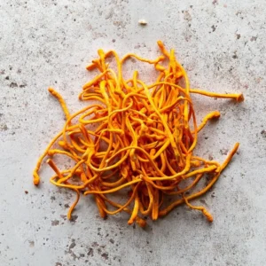 Cordyceps Mushroom