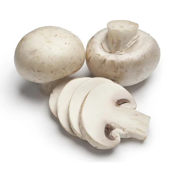 White Button Mushroom